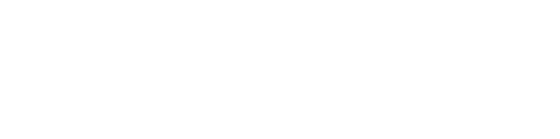 Logo / Light Version